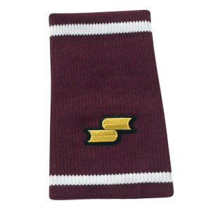 GXGXPC SSK ya33 Xgoh GW zCg ANZT[ IV 싅 싅pi