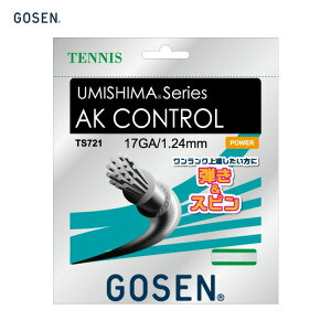 GOSEN �S�[�Z�� UMISHIMA AK CONTROL 17 �z���C�g �d���e�j�X �K�b�gTS721 �S�[�Z�� �e�j�X �K�b�g