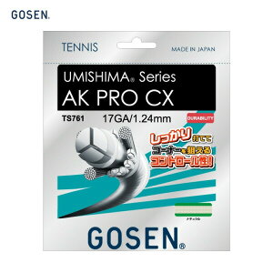 GOSEN �S�[�Z�� UMISHIMA AK PRO CX 17 �i�`������ �d���e�j�X �K�b�gTS761 ������񂹕i �S�[�Z�� �e�j�X �K�b�g