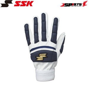  GXGXPC SSK ۗp p zCg×lCr[ LTCY   ۗp ێ ebg10