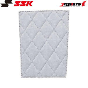  NlR䂤pPbg SSK GXGXPC 싅 LgpbhqU Vo[O[J[ BUA008NL