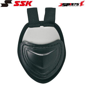 SSK GXGXPC 싅 p X[gK[h Lb`[MA ubN×Vo[O[J[ CTG10C