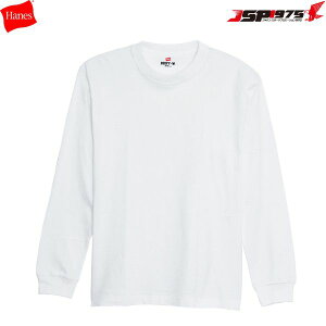 Hanes wCY tVc L/S T-SHIRT r[tB[ T 傫߃TCY rbNTCY   wr[EFCg  ^O zCgJ[ XXLTCY H5186L