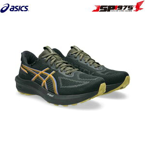 �������� �A�V�b�N�X asics GT-1000 14 GTX �����j���O�V���[�Y �S�A�e�b�N�X �����Y �j�� �O���� �X�|�[�c �^�� ���i���� �f�C���[ �N�b�V���� 001 �u���b�N×�_�[�N�R�o���g 27.5cm 1011C078