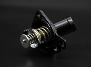 WFCY [VO, FN2 TYPE-R EURO SPL [evT[X^bg, VrbN^CvR[ / FN2