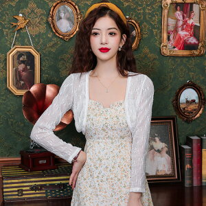 VA[{ S2F ԕ  V[g {  VA[J[fBK V[X[  HD ꂢ [΍ O΍ Ăh~ tē񎟉  p[eB[ IP[Wyw0