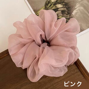 VV V[X[ Vv S5F n PF  傫 傫 wAANZT[  wbhANZT[ p[eB[l L[g wAAW l ܎O w Ǝ 