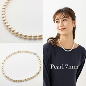 ^lbNX y42cm/45cmi7mmjz p[lbNX COorsAXZbg Ԏ AR ^lbNX pP[XA@ւ̊ӕʏt