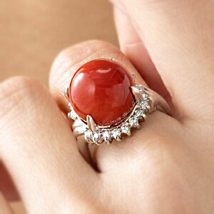 yԎXӕʏtzyY ԃTS 12mmێ쁙v`i _C O Pt900 _Ch v18 0.4ct AJTS w v`i900