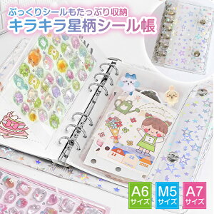 �yJ's LABO���� ���K�i�z�V�[���� �o�C���_�[ ���� ���t�B��10���t�� ���� �N���A �z���_�[ �t�@�C�� �P�[�X A7 M5 A6 �͂����� ���̎q �蒠 �m�[�g ������ ���킢�� ������� �g���J �g���[�f�B��