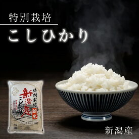 白米 米 10kg 新潟県産 1等米☆ 送料無料 令和6年産 コシヒカリ 10kg （5kgx2）白米 精米仕立て 新潟 コシヒカリ 新潟産 コシヒカリ 新潟産 こしひかり 新潟 米 お米 ギフト 米10 キロ こしひかり 魚沼産コシヒカリ 10kg