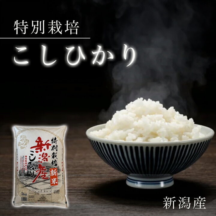 楽天市場】白米 米 10kg 新潟県産 1等米☆ 送料無料 令和6年産 