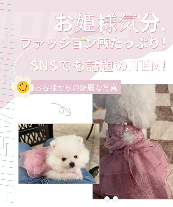 楽天市場】【楽天1位】犬服 春夏用 お姫様 ワンピース スカート レース 