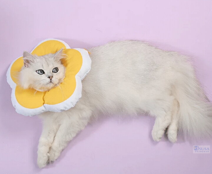 楽天市場】新登場ソフト軽量タイプ ドーナツエリザベスカラー 介護用品 ネコ 猫用 犬用綿質軽量術後傷口保護傷舐め防止 引っ掻き防止介護ヘルスケア術後ウェア 【ra91126】ネコポス不可 : JS U.S.A 楽天市場】新登場ソフト軽量タイプ ドーナツエリザベスカラー 介護用品 ネコ 猫用 犬用綿質軽量術後傷口保護傷舐め防止 引っ掻き防止介護ヘルスケア術後ウェア 【ra91126】ネコポス不可 : JS U.S.A