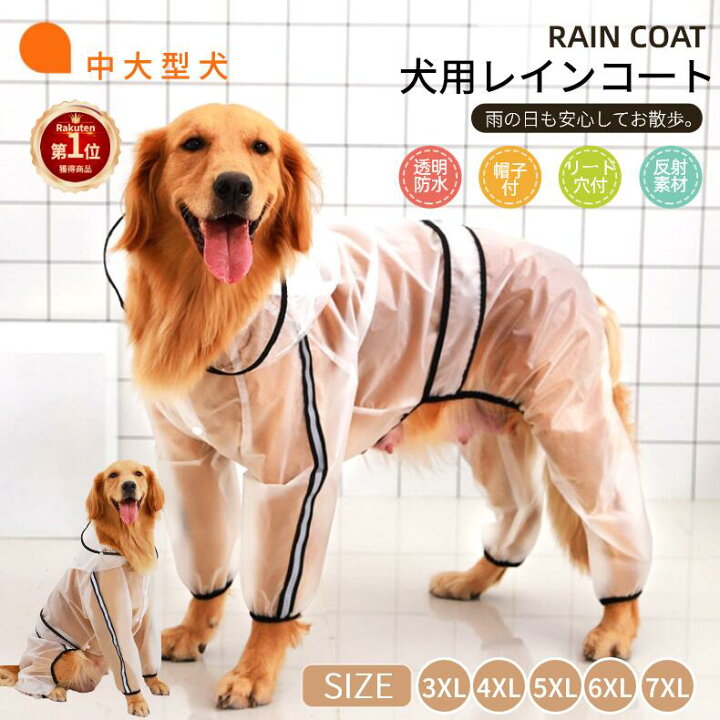 22年 犬用レインコートのおすすめ人気ランキング17選 Mybest 小型犬 猫のための防水子犬レインコートブルー透明ペットレインウェア服 Vladatk Kim Ba