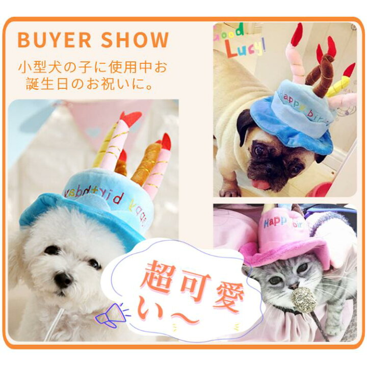 楽天市場 ネコポス送料無料 Newデザイン 犬用お誕生日パーティ帽子 犬帽子 ハッピーバースデーハット バースディ かぶりもの 仮装 コスプレダックス チワワ プードル ドッグウェア 犬の洋服 新年 クリスマス プレゼント ギフト Ra Js U S A