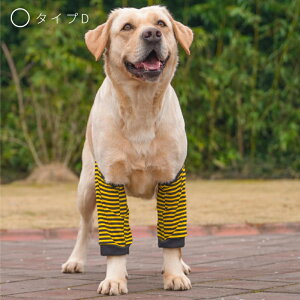 ^p֐߃veN^[ pGT|[^[ OveN^[ ֐ߕیŒ nr Iănr ЂpV h~ V piybgPA Jo[ O ʋC 