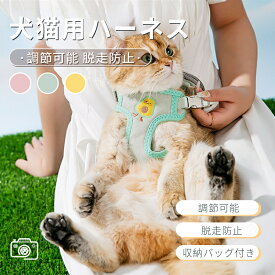 中小型犬猫用胸当て ハーネス リードセット バッグ付き ペット胸当て ペットリード 犬猫兼用 抜けない ソフト胸あて 胴輪 軽量 通気メッシュ散歩 お出かけ ネコポス送料無料！【ra64611】