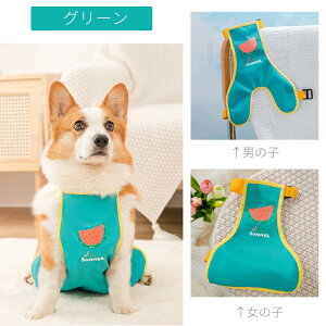 yyV1ʁz D悯Gv ^ J h D oGv R[M[pD悯Gv CEFAybgCR[g/JEFA/Jbp hbOEFA U CObY E