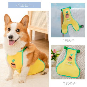 yyV1ʁz D悯Gv ^ J h D oGv R[M[pD悯Gv CEFAybgCR[g/JEFA/Jbp hbOEFA U CObY E