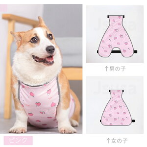 yyV1ʁz Gv 5-16KGKpR[M[pD悯Gv j̎qp ̎qp CEFA ybgCR[gJEFA hbOEFA U o ̕ ybgpi CObY 