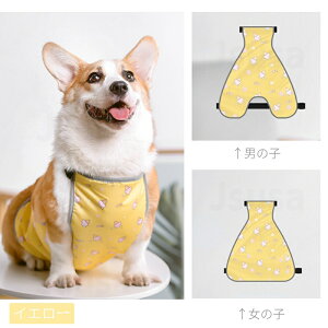 �y�y�V1�ʁz�� �G�v���� 5-16KG�K�p�R�[�M�[�p�D�悯�G�v���� �j�̎q�p ���̎q�p ���C���E�F�A �y�b�g���C���R�[�g�J��E�F�A �h�b�O�E�F�A �U�� ���o���� ���̕� �y�b�g�p�i ���C���O�b�Y 