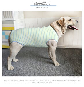 yyV1ʁzt /^ppEFA Ckp㕞 p㒅 O㑫  p  ̏ی rߖh~ GUxXJ[ɑ D   p 畆ی jp ё΍ l