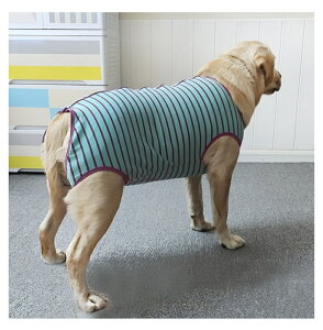 yyV1ʁzt /^ppEFA Ckp㕞 p㒅 O㑫  p  ̏ی rߖh~ GUxXJ[ɑ D   p 畆ی jp ё΍ l