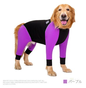 yyV1ʁz/^ppEFA  Ckp㕞 p㒅 O㑫/̏ی  p  rߖh~ GUxXJ[ɑ Dp 畆ی jp ё΍ hۉ lR