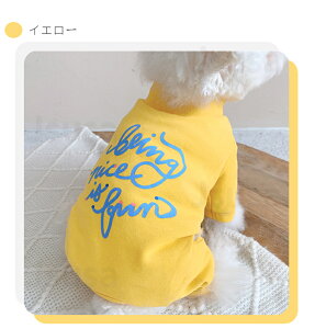 yyV1ʁz^ g p[X h H~ 4rp[X \tgpW} g Ȃ^Cv m Jo[I[ nClbN m ybgybgEFA VvȂ [