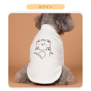 yyV1ʁz ^ H~m EGA X[c \tg OTVc  TVc X^_[hVc ^Ngbv ybg hbOEGA ̕ ybgEFA F 