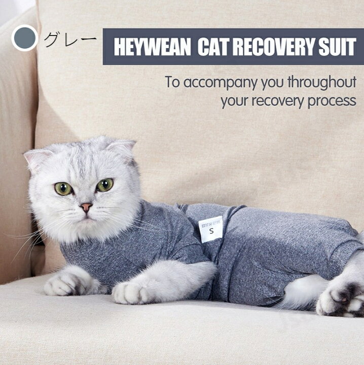 楽天市場 ネコポス送料無料 即納 ふんわり生地の猫専用術後服 使いやすい背中開 離乳期 手術後 避妊 去勢 生理期 怪我 術後着ウェア ロンパースつなぎ傷舐め防止 介護用品 エリザベスカラー Ra Js U S A