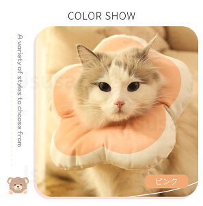 yyV1ʁz\tgyʃ^Cv h[icGUxXJ[ H pi lR Lp pȎyʏp㏝ی쏝rߖh~ ~h~wXPApEFA D 畆a ܐ؂ 