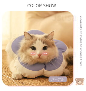 yyV1ʁz\tgyʃ^Cv h[icGUxXJ[ H pi lR Lp pȎyʏp㏝ی쏝rߖh~ ~h~wXPApEFA D 畆a ܐ؂ 