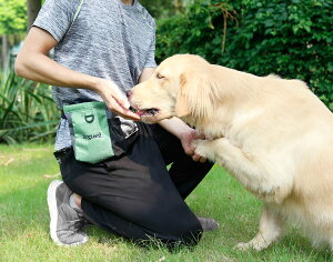 yyV1ʁz g[c|[` 3WAY g[jO ybgEGXg|[` ̌Pp xg ybg |[` obO `[NobO g[jO|[` }OlbgJ ֗ U