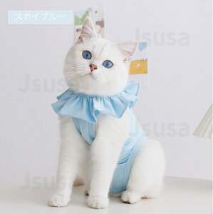 yyV1ʁzLpp㕞  p D Lp t tĉĕ pW} lR Lbg pEFA r߂Ȃ 畆ی ӂ萶n̔LpGUxXJ[ _炩