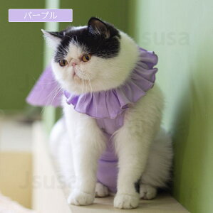 yyV1ʁzLpp㕞  p D Lp t tĉĕ pW} lR Lbg pEFA r߂Ȃ 畆ی ӂ萶n̔LpGUxXJ[ _炩