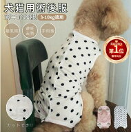 【楽天1位】術後服 犬用 猫用イヌネコキャット犬 術後着 猫 術後ウェア 傷口舐めない皮膚 保護 避妊 去勢…