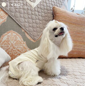 yyV1ʁzpp㕞 Lpp㕞  L 앞  Ȃ Ck lR Lbg lr p㒅 pEFA r߂Ȃ畆 D  ނ jp  p㕞 pEFA 畆ی r 