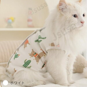 yyV1ʁzLpp㕞 ӂ萶n L pEFA lR Lbg p㒅 pEFA 畆ی rߖh~ ی  p D   앞 GUxXJ[ɑ \t