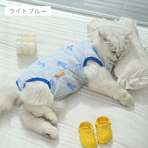 yyV1ʁzLpp㕞 앞 ӂ萶n lRLbg p㒅 pEFA Eѕی r߂Ȃ畆 D  ނ jp p lGp _炩f pi p ی lR|X