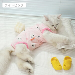 yyV1ʁzLpp㕞 앞 ӂ萶n lRLbg p㒅 pEFA Eѕی r߂Ȃ畆 D  ނ jp p lGp _炩f pi p ی lR|X