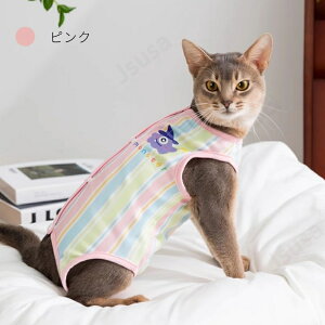 Lpp㕞 ӂ萶n L pEFA lRLbg p㒅 pEFA r߂Ȃ 畆ی  p D  pi ی GUxXJ[̑ tďH~ lr 