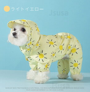  CEFA ^ ^  CR[g Jt[ht ybgCEFA |` ~J΍  ybgpi CObY JJbp CEGA ₷ Sh 