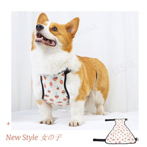 yyV1ʁz4-35KGKpR[M[pD悯Gv CEFA ybgCR[gJEFA hbOEFA U o ̕ ybgpi CObY EGA JJbp lR|X