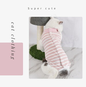 yyV1ʁzLp㕞 Lpp㒅 EFA ӂ萶n g₷wJ  p D    p㒅EFA p[XȂrߖh~ pi GUxXJ[ lR