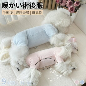 犬術後服 猫術後ウェア イヌネコ 長袖 四脚 術後服 術後着術後ウェア 傷口舐めない 避妊 去勢 男女用 犬 術後ウェア 皮膚保護 傷舐め 傷口保護 犬服 ペット服 介護服 オス メス 傷舐め防止 レース リボン かわいい 換毛期対策 抜け毛対策 ネコポス送料無料！【ra84012】