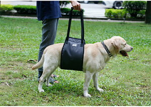 yyV1ʁzybgp s⏕n[lX tgn[lX VjAp pi  V 㑫 nr Q T|[g gC̕⏕ u[ O[ V  [h pi ԏ悹/oR/U