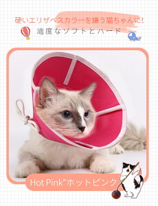 2wayp yʃGUxXJ[ p/Lp ybgpi p pی  p L p㕞 r r h~  畆 ×p e D y EǍD \tgȕz 