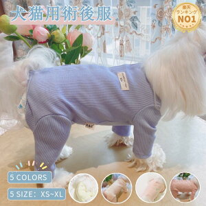 猫 服 犬用ペット服の人気商品 通販 価格比較 価格 Com 猫 服 犬用ペット服の人気商品 通販 価格比較 価格 Com
